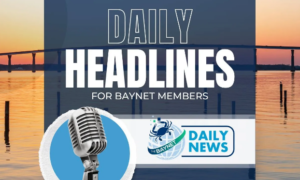 Baynet News