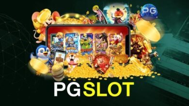 Everything You Need To Know About PG Slot